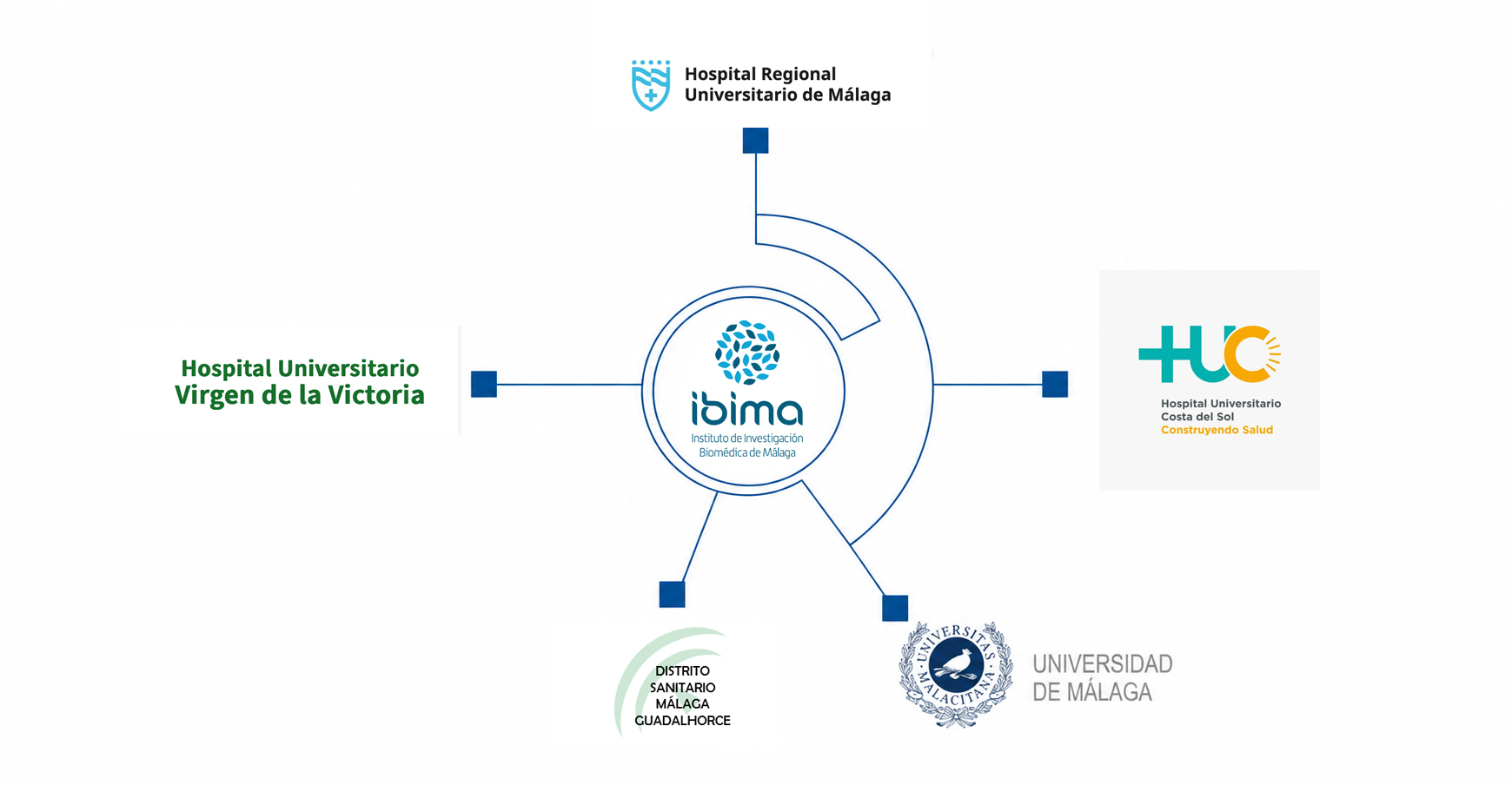 integrantes ibima